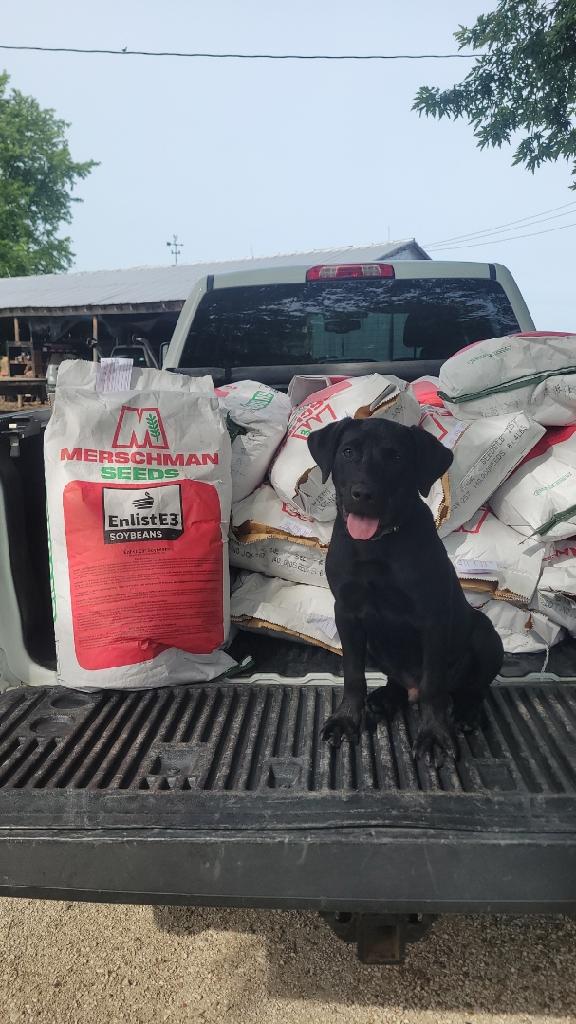 Tex is ready to plant his favorite brand of Merschman Enlist E3 soybeans for double crop. His dad Jake Shannon just harvested a phenomenal wheat crop using Merschman wheat!