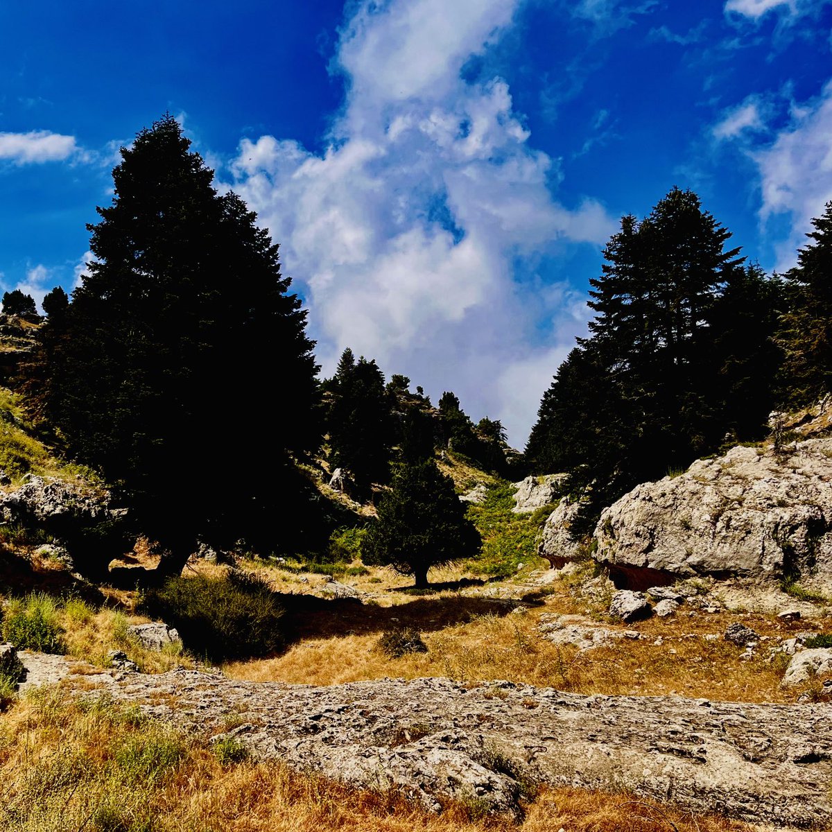 Wonderful but very difficult track 1 of the Lebanon Mountain Trail between El Koubaiyat and El Qammouaa.