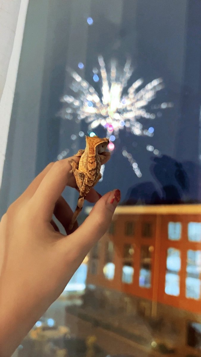 好像身边的人养小宠物都只是希望它可以幸福快乐 https://t.co/HFKaMyJZzo