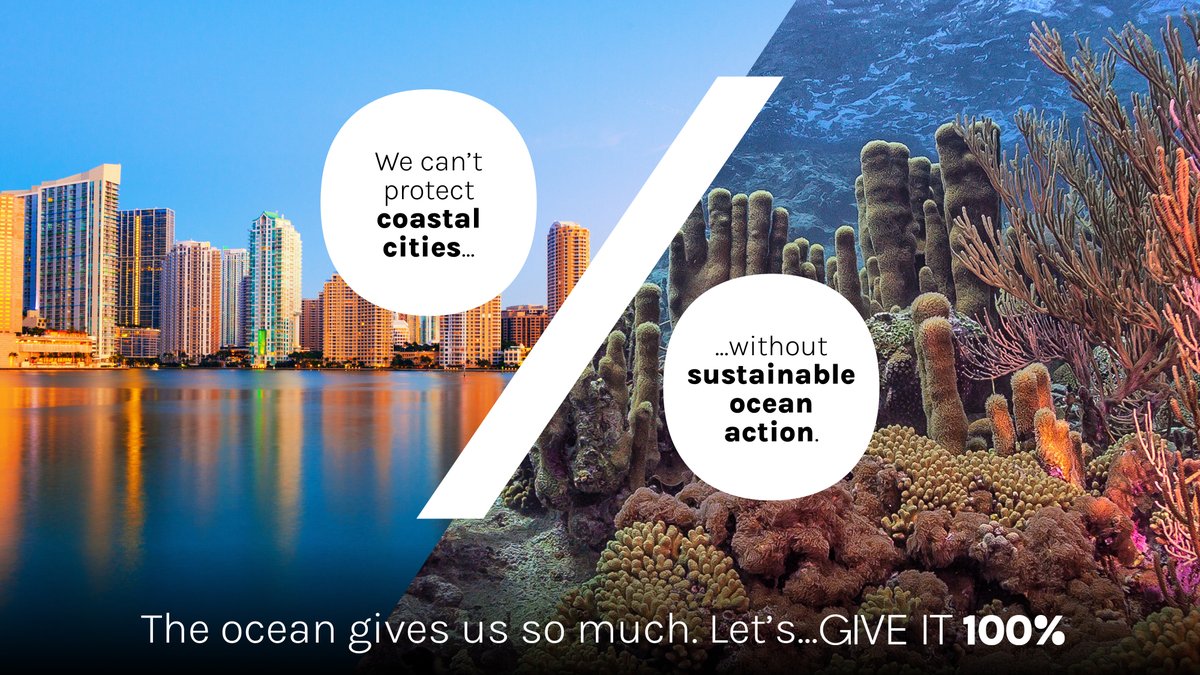 oceanpanel's tweet photo. Coastal and marine ecosystems play a critical role in protecting our coastal cities, including helping to prevent erosion, storm-damage and flooding. We must secure a future where people, nature, and economy thrive together. #GiveIt100 #SustainableOceanAction https://t.co/BMTHQPTmHl