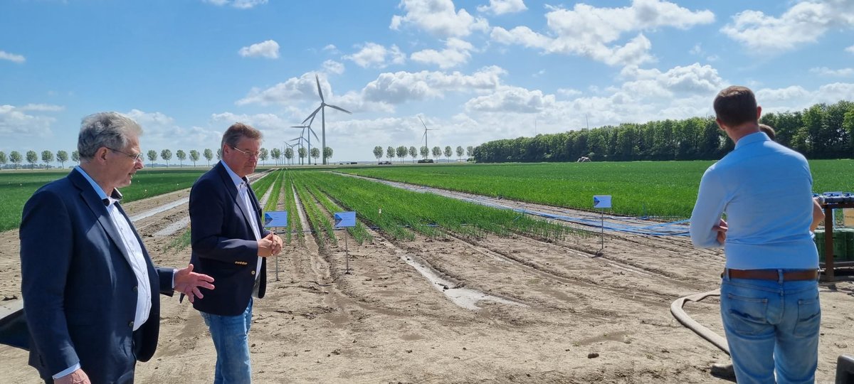 Roelof Bisschop tweet media