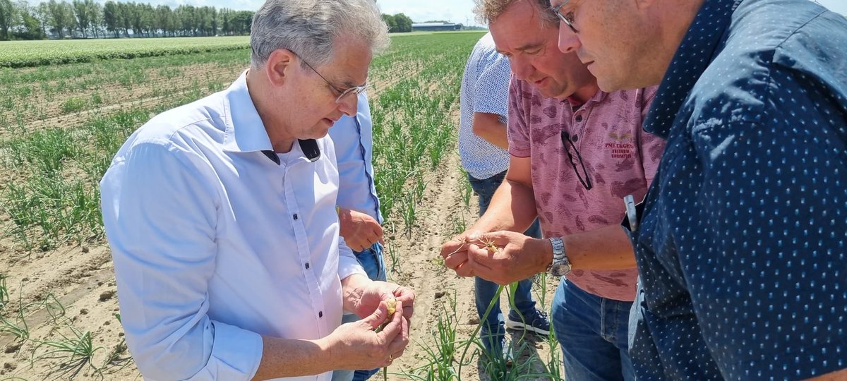 Roelof Bisschop tweet media