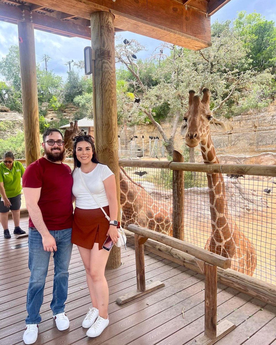 Alimentar a una jirafa fue de lo más bonito ✨