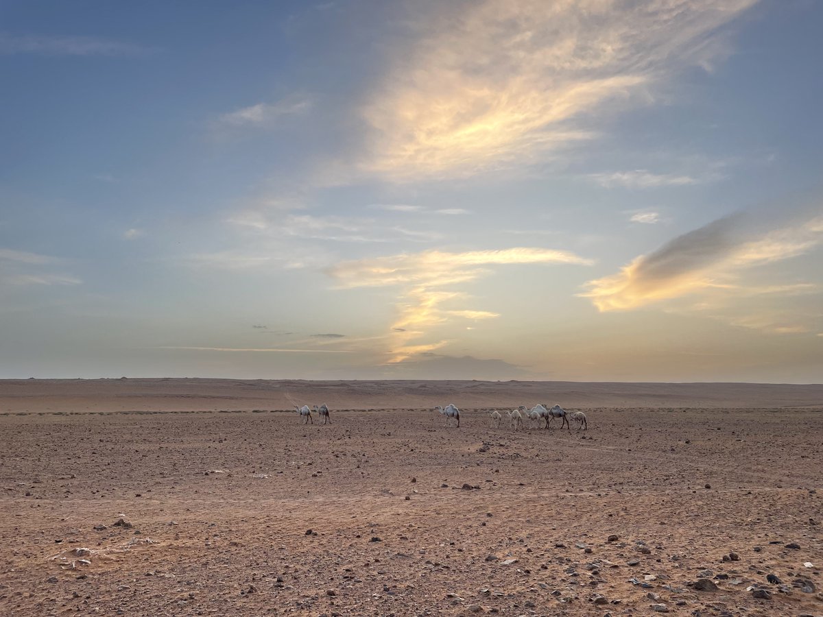 🙏Gracias <a href="/RFI/">RFI</a> pour cette interview &amp; cet article en 🇪🇸réalisés au retour de notre #expédition dans le  Néfoud #DeepClimate : bit.ly/43haUoH