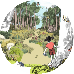 Les enfants parisiens : les mercredis buissonniers reprennent au Bois de Vincennes ! 
Dès sept, nous irons avec un groupe d'enfants (6-12 ans) y passer 3 h : jeu libre, aventures, observation naturaliste... avec mon amie Valentine Bourrat #besoindenature #RPPN #classedehors