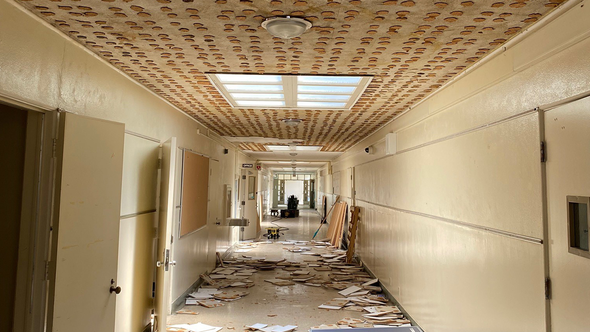 lbschoolbonds's tweet photo. Birney Elementary School’s campuswide renovations are off to a great start! We’ve removed the ceiling tile and other items in the school’s admin building in preparation for new high-efficiency AC systems, flooring, lighting and other upgrades. 

#BuildingOnSuccess #ProudtobeLBUSD https://t.co/mpPPdclcfW