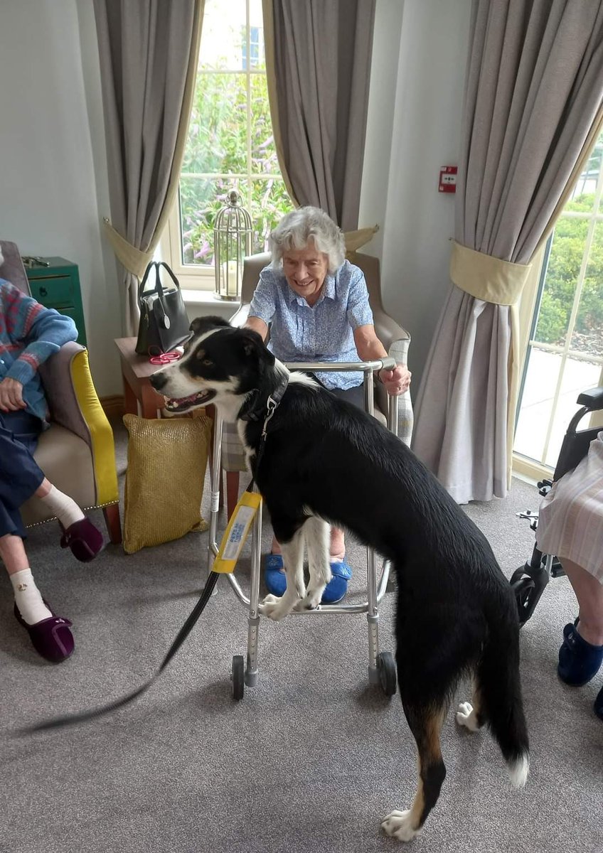 Mr Finch is having fun with the residents of Dell House, Beccles. 🐾#PetsAsTherapy #bordercollie