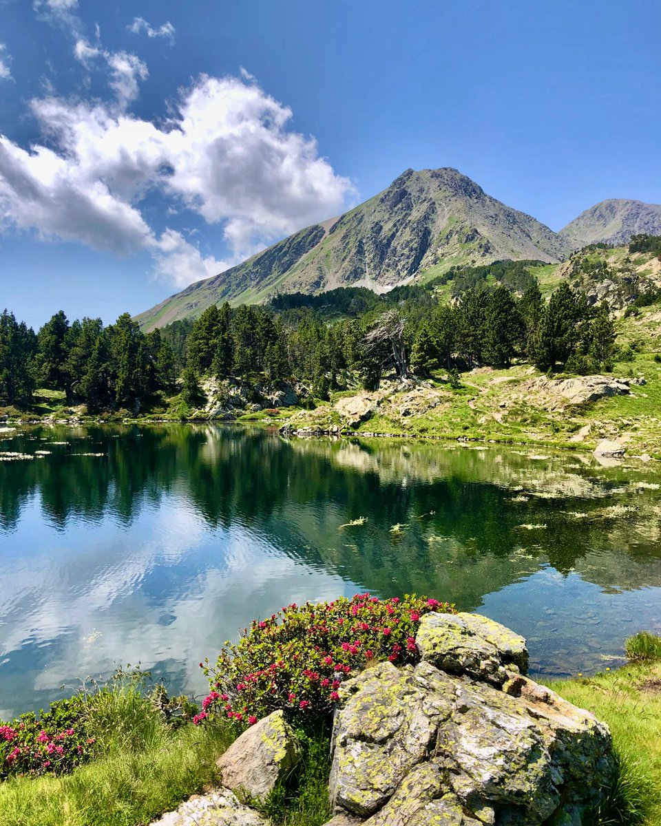 #formigueres #lac #lake #camporells #pyrenees #pyreneesorientales #randonnee #hiking #landscape #naturephotography #naturefrance #naturelovers #reflection #love_reflections #montagne #mountains