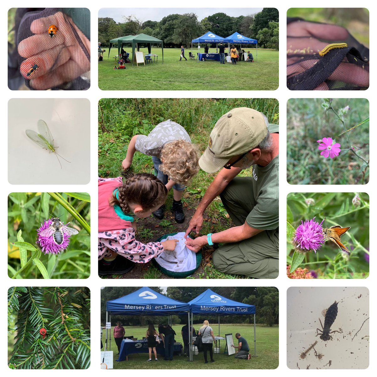 MerseyRivers's tweet photo. Another successful BioBlitz at @CroxtethHall on Saturday as part of #MerseyRiversWeek. Lots of enthusiastic people engaged and loads of wildlife recorded.
βοΈ Special mention to our star bug-hunter, Joseph who managed to catch a grasshopper and a frog! π¦πΈπ https://t.co/lMjaXN3DNQ