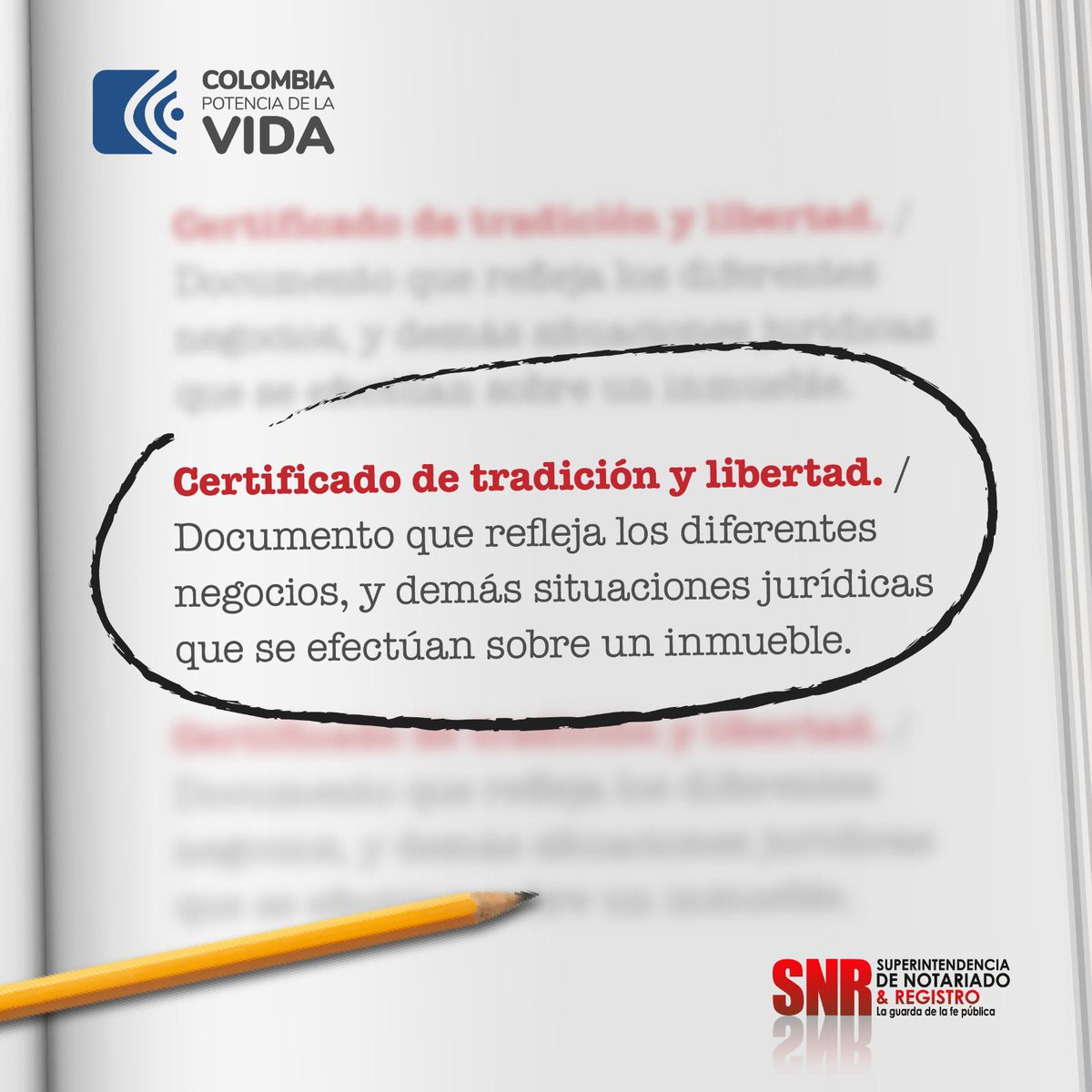 Supernotariado's tweet image. #GlosarioSNR 📚 | ¿Has escuchado hablar sobre el Certificado de Tradición y Libertad, pero no sabes su significado?

¡Aquí te contamos! 🤓