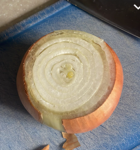 alsuin's tweet photo. @Sainburyscs not like you to be selling manky onions - it was only bought today! https://t.co/4dGxO201or