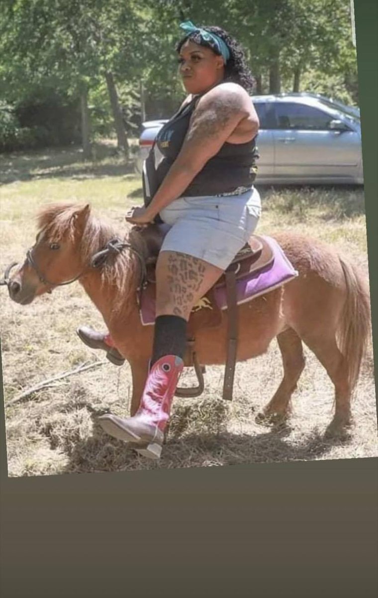SerraoMarcus's tweet photo. No animal is a method of transportation like a bicycle. https://t.co/ubuZyVGbHO