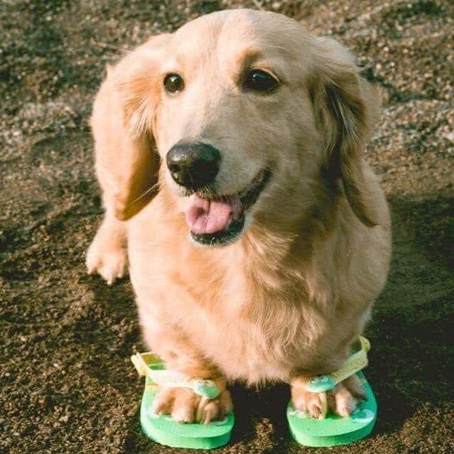 twaniimals's tweet photo. https://t.co/EQGhvuchYa