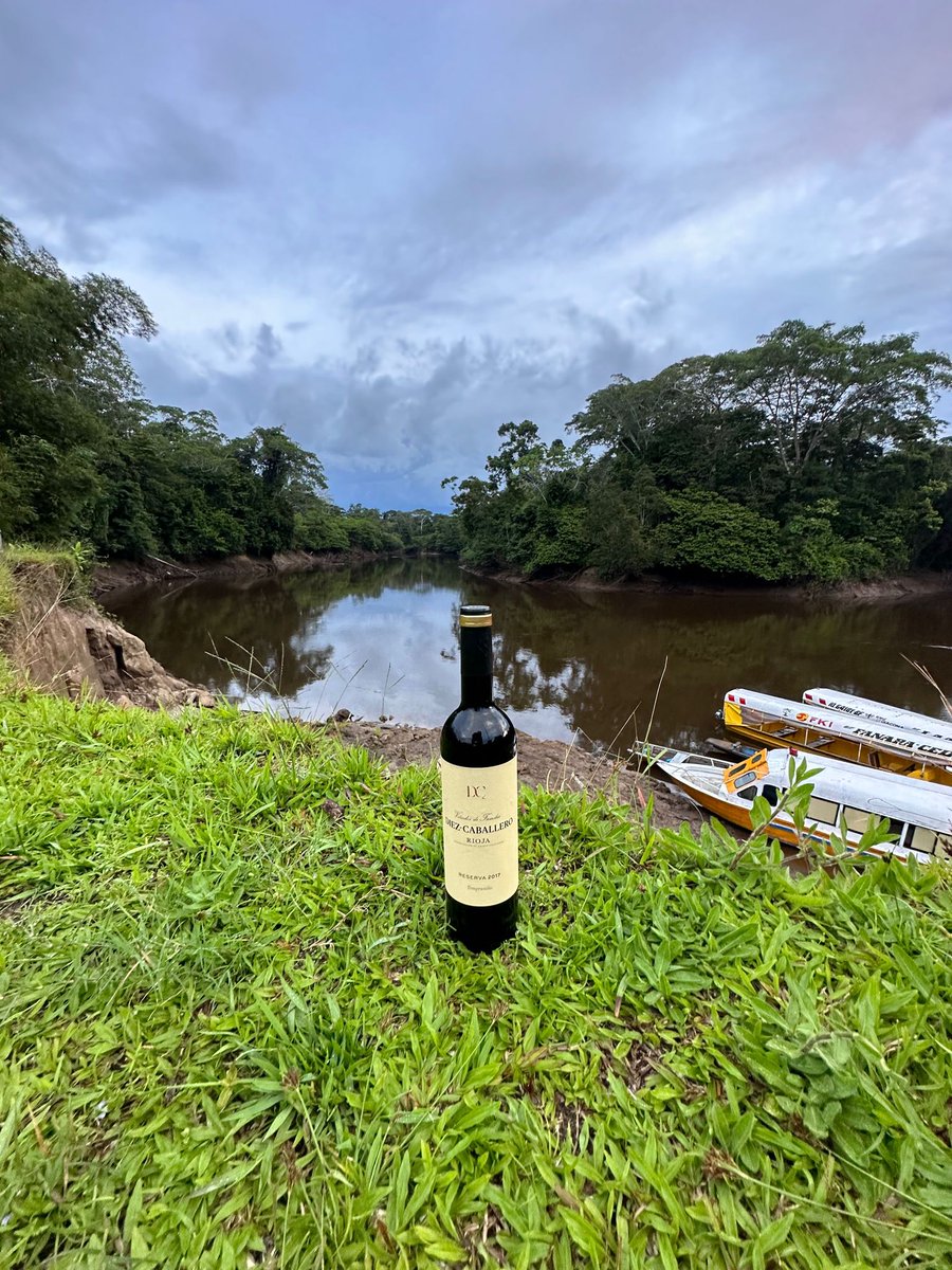 Bodega Diez-Caballero tweet media