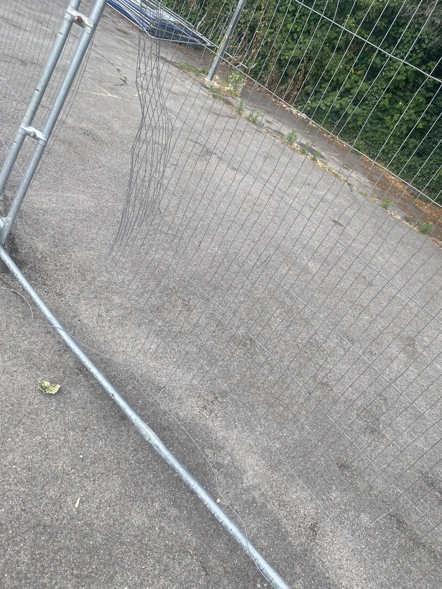 Sav Akyüz tweet media