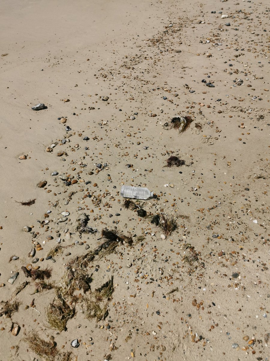 DigiDaughter's tweet photo. It is annoying having to carry other people's junk to the bin, but it's a small price to pay for the joy I get from the beach 💙💛🚮
#takeyourrubbishhome #keepthebeachclean https://t.co/Icgr6tnEtk