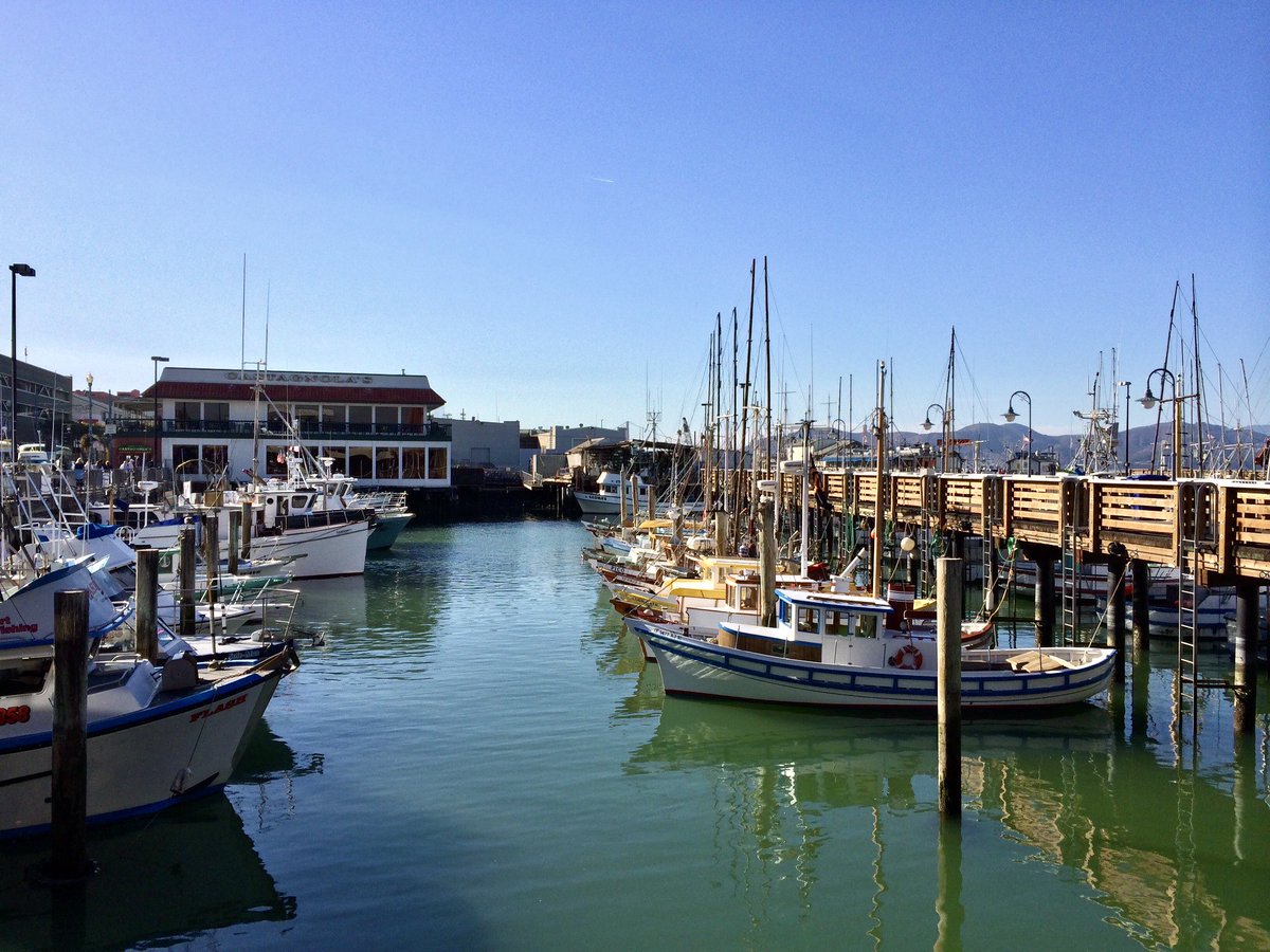 My #Top4Fish for this week’s #Top4Theme @intheolivegrov1 @obligatraveler @ararewoman @jollyhobos A state natural reserve for wild fish of the Pacific Ocean Schools of fish in a kelp forest Jellyfish at the aquarium Fleet of fishing boats in the marina