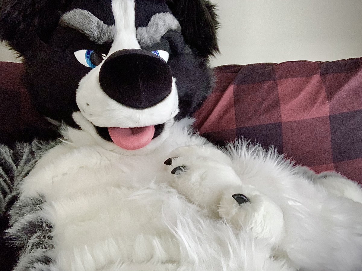 BigBoof's tweet photo. ⚠️ TRADE OFFER ⚠️

I receive: pets

You receive: a big boofriend https://t.co/7VysyQ8Ej5
