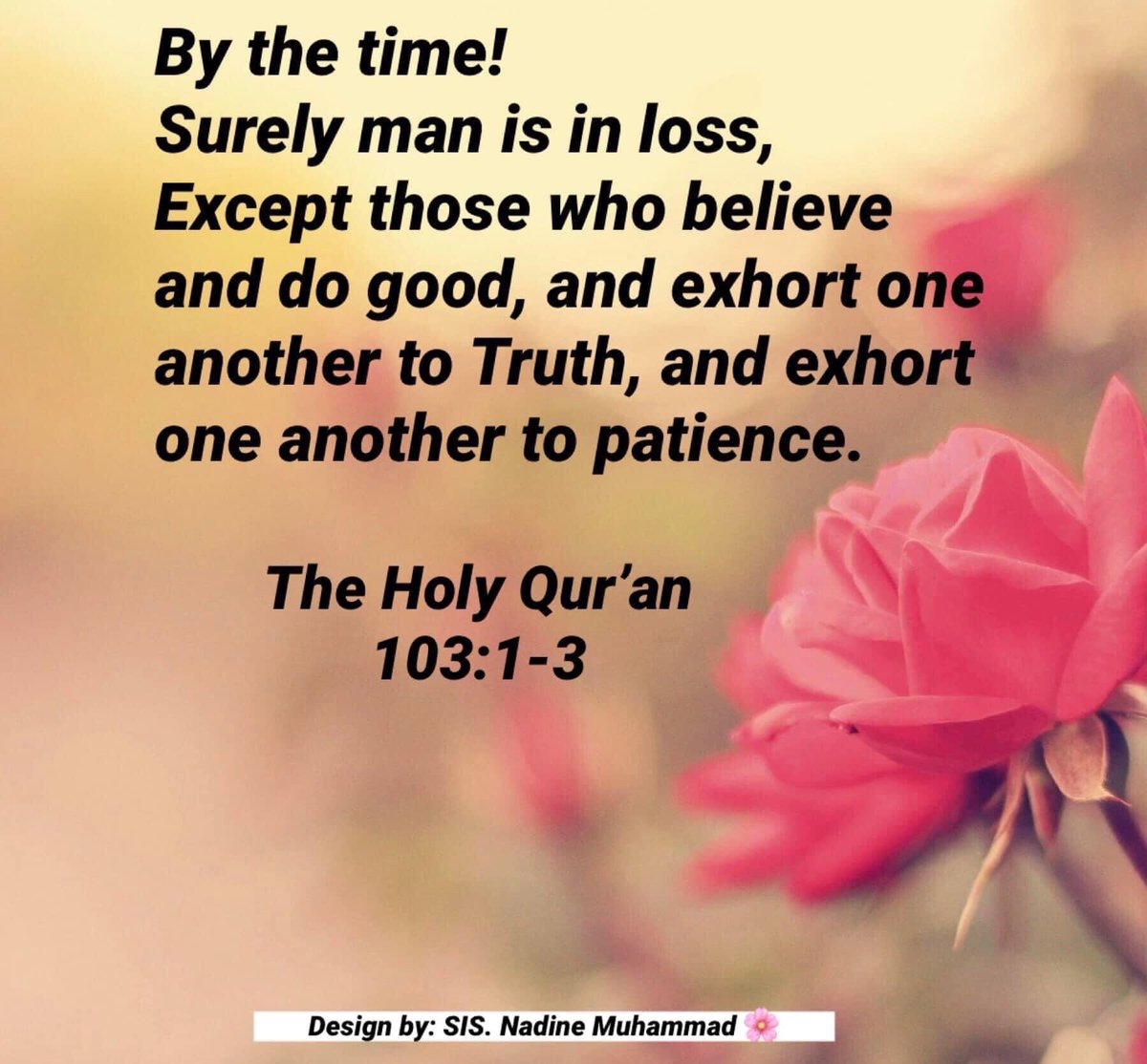 NadineMuhammad's tweet image. 