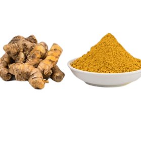 Golden healing in a spice! Turmeric's active component, curcumin, offers potent anti-inflammatory properties and supports conditions like arthritis and IBD. Add a sprinkle of turmeric to spice up your dishes and boost your well-being! 🌿 #GoldenHealing #TurmericPower