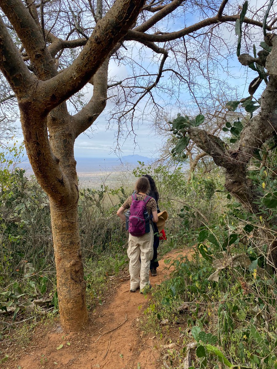 campkenya's tweet photo. The views were well worth the hike  up Marunga Hills for #TeamKasa #ecotrek #dosomethingamazing @CampsInt https://t.co/aRg2Oj5F5y