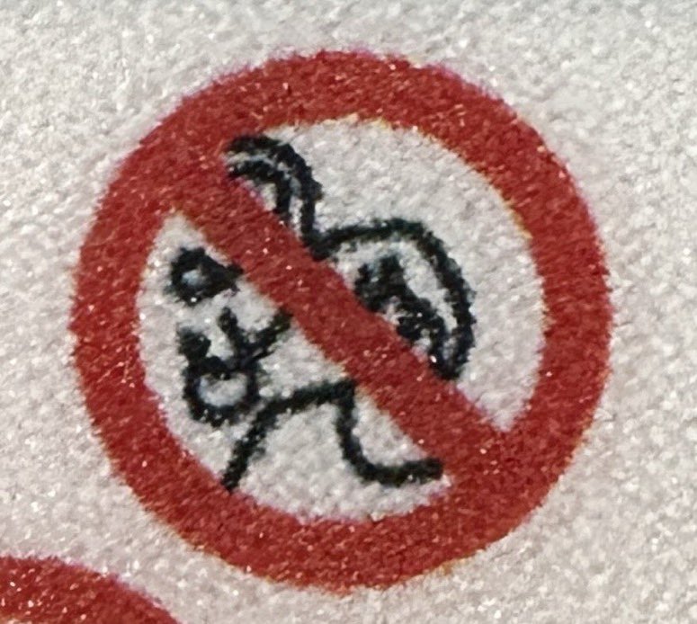 danischnitte's tweet photo. @askryanair what in gods name does this mean what can’t i do https://t.co/8bWoh0S3FD