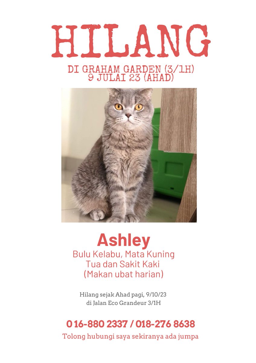 nadia_lah's tweet photo. Slm&amp;Hi.
Kucing HILANG 🤕
-ASHLEY  
-Bulu kelabu, mata kuning 
-Umur 10 tahun
-Sakit Sendi (mkn ubat harian)  
-  @ Graham Garden,Eco Grandeur  
- Hilang pd pagi Ahad,9/7/23    
Ganjaran diberikan
Thx! @KucingBertweet @ulat_bulu_bulu mohon retweet 💔 https://t.co/abmPXU6FcL