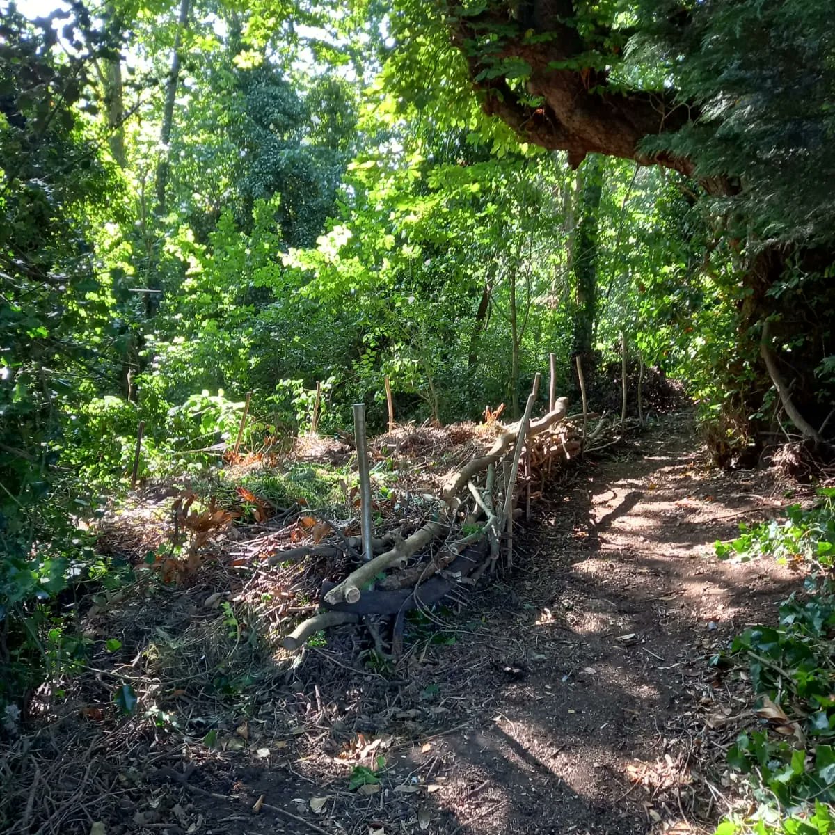 Streatham Common Co-operative tweet media