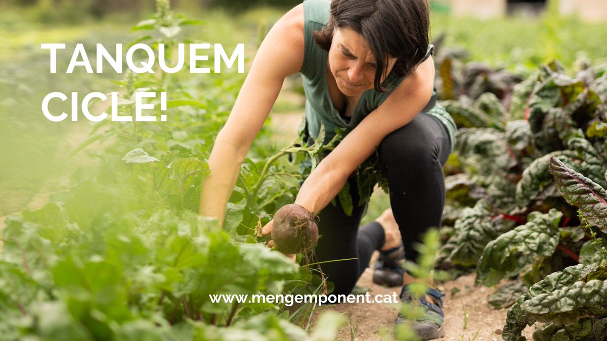 Mengem Ponent tweet media