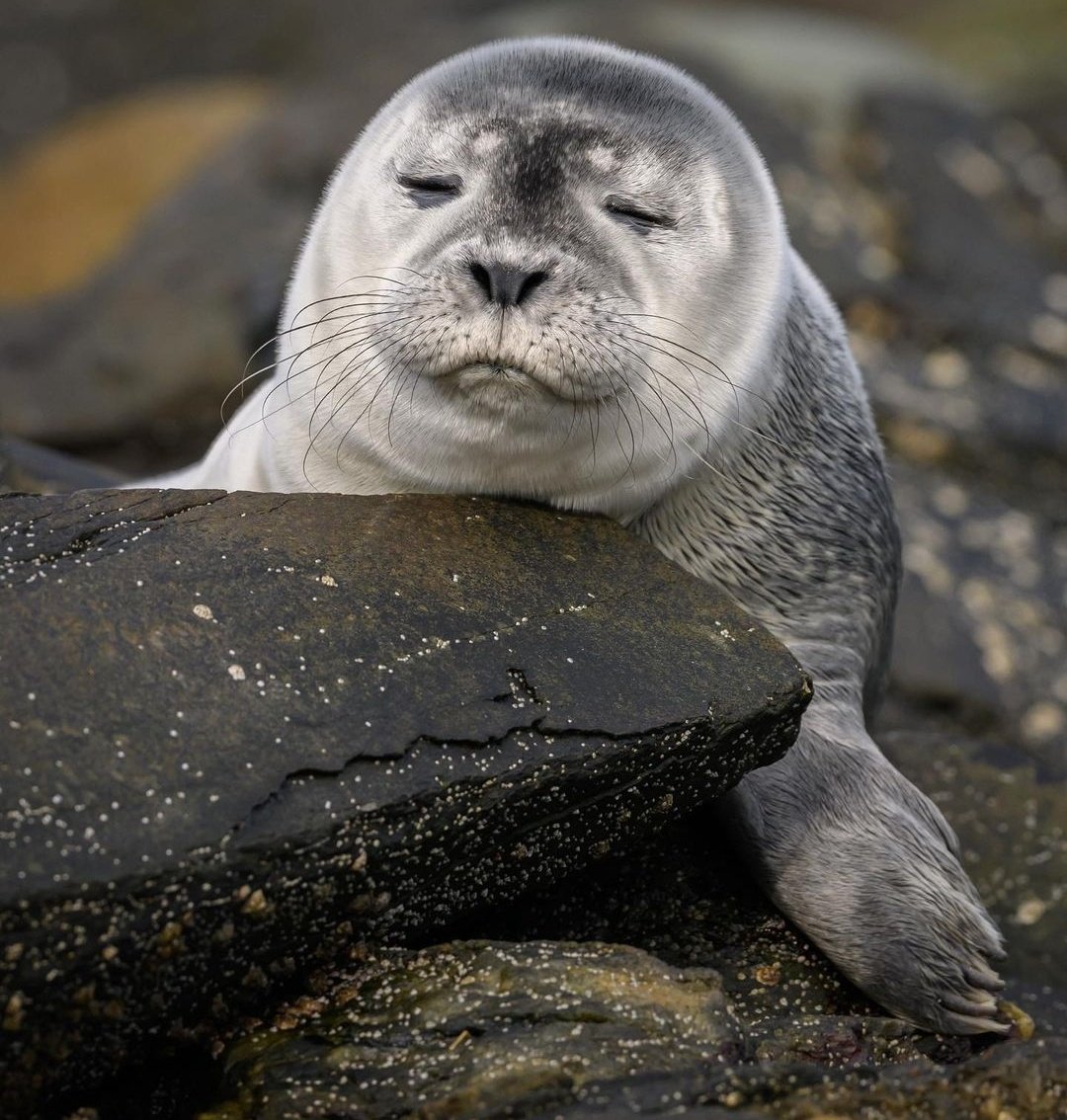 FOCALISANDOME EN QUE TERMINE YA LA SEMANA DIO SANTO