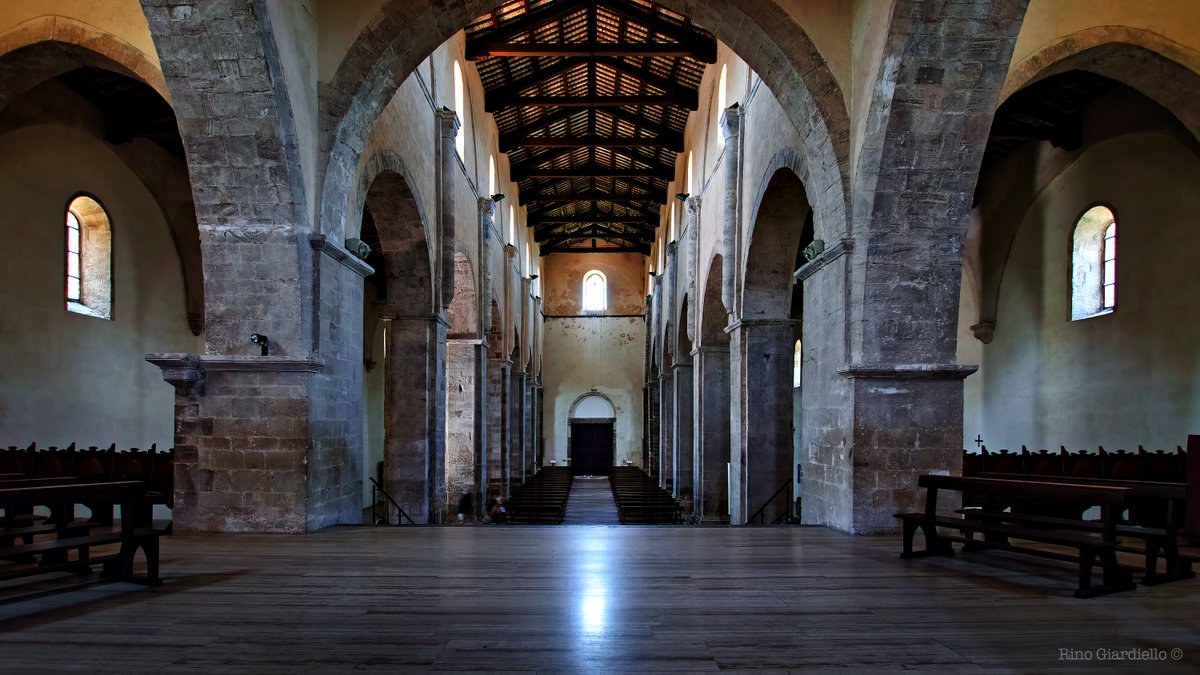 Rino Giardiello tweet media