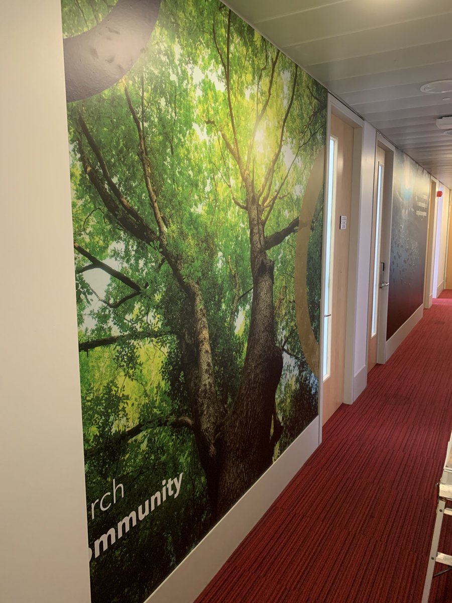 Institute for Global Sustainable Development tweet media