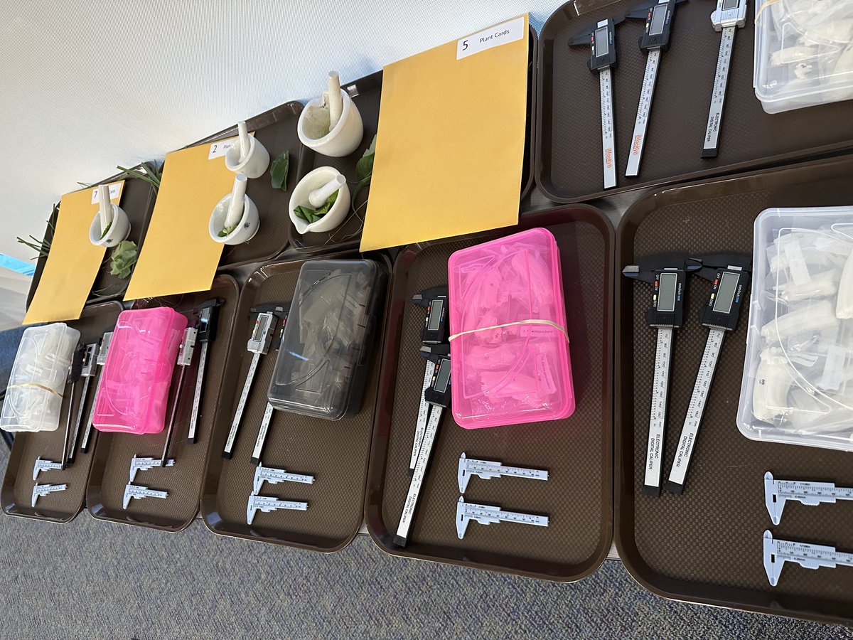 Rebecca Brewer (she/her) tweet media