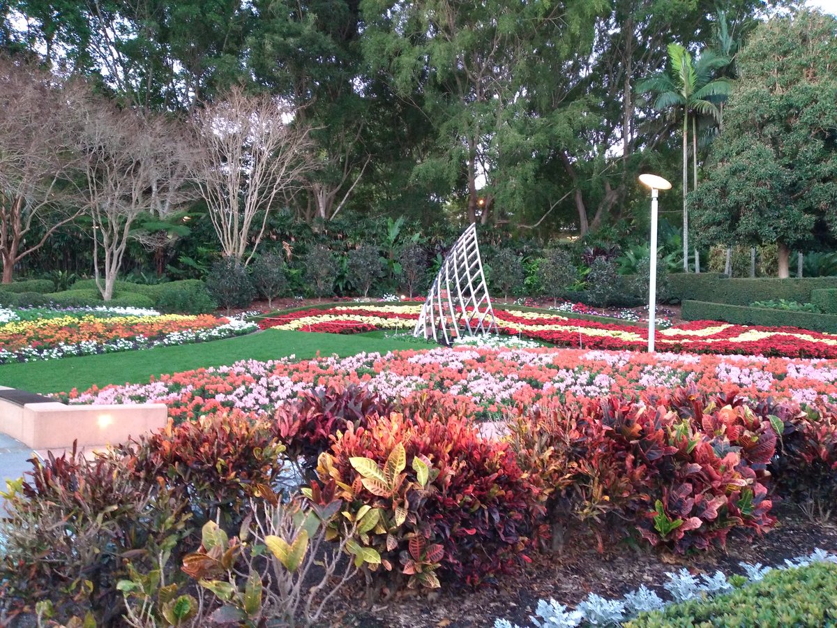 🎄Musescript🎄 tweet media