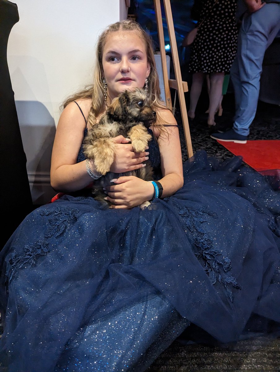 Last Friday it was our HooSis Emily's prom we think she looked gorgeous 😍 Bonnie got to go with her and helped her come out of a seizure and supported her afterwards.
#assistancedog
#assistancedogintraining
#prom2023
#Fnd
#nonepilecticseseizures