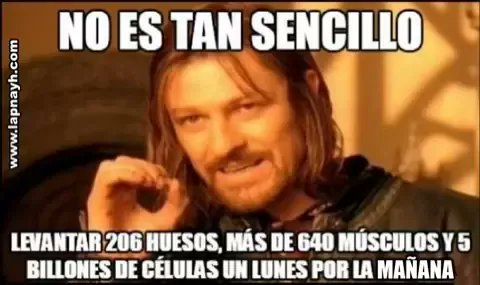 Senit_human_cap's tweet photo. Difícil!!! https://t.co/3Swr0GiIHB