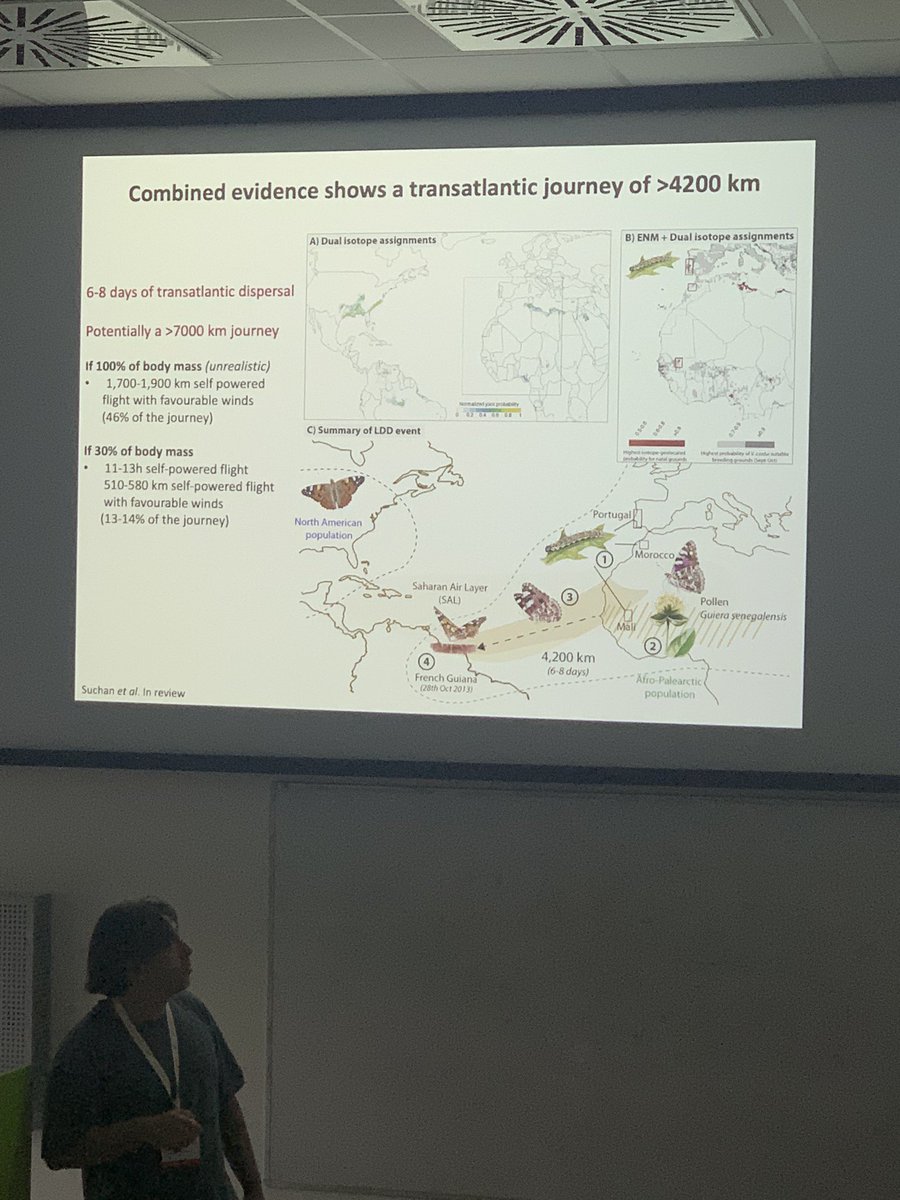 Gerard Talavera giving an amazing Key Note talk at Migration Symposium at  #BOB2023  Vanessa cardui and they amazing and super interesting migration and behaviour