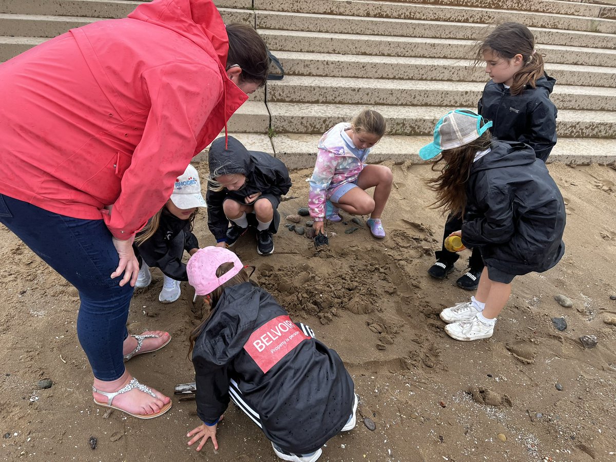 MythamPrimarySchool tweet media