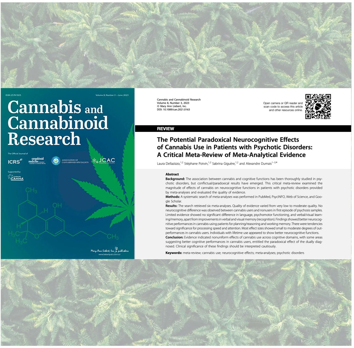 🚨SURPRISING RESULT ALERT: 

A critical meta-review of meta-analytical evidence suggests that neurocognitive performance is actually BETTER in persons with psychotic disorders who use cannabis, relative to those who don't. 

Link: buff.ly/3PFKDxe 

#cannabis #marijuana