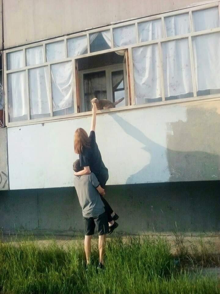 Bichinhos fofinhos pra quem ta cansado tweet media