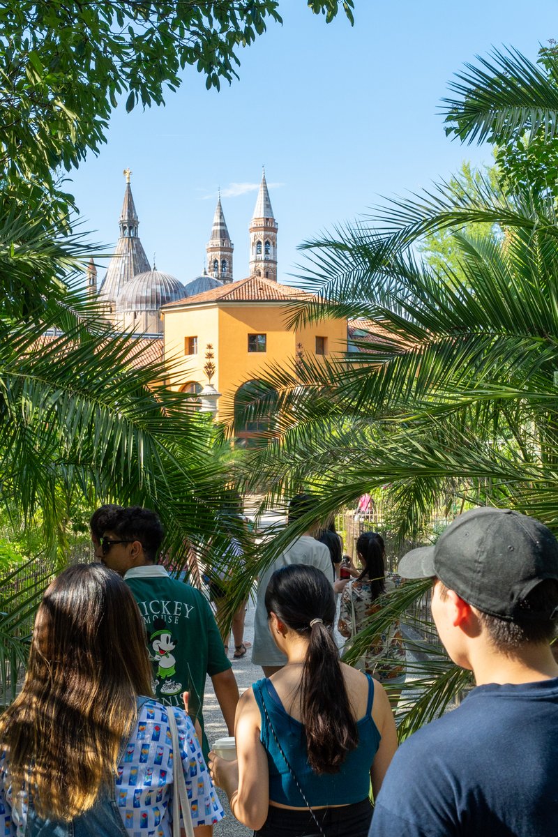 UniPadova's tweet photo. 🇦🇺 A warm welcome to all Australian students!
We are delighted to have 66 University of Sydney students who participated in the Italian Summer School of Culture, hosted by #DISLL and @dBC_UniPD, in partnership with @Sydney_Uni.
> https://t.co/PD3KrJ30r1 https://t.co/v6jMhUzBig