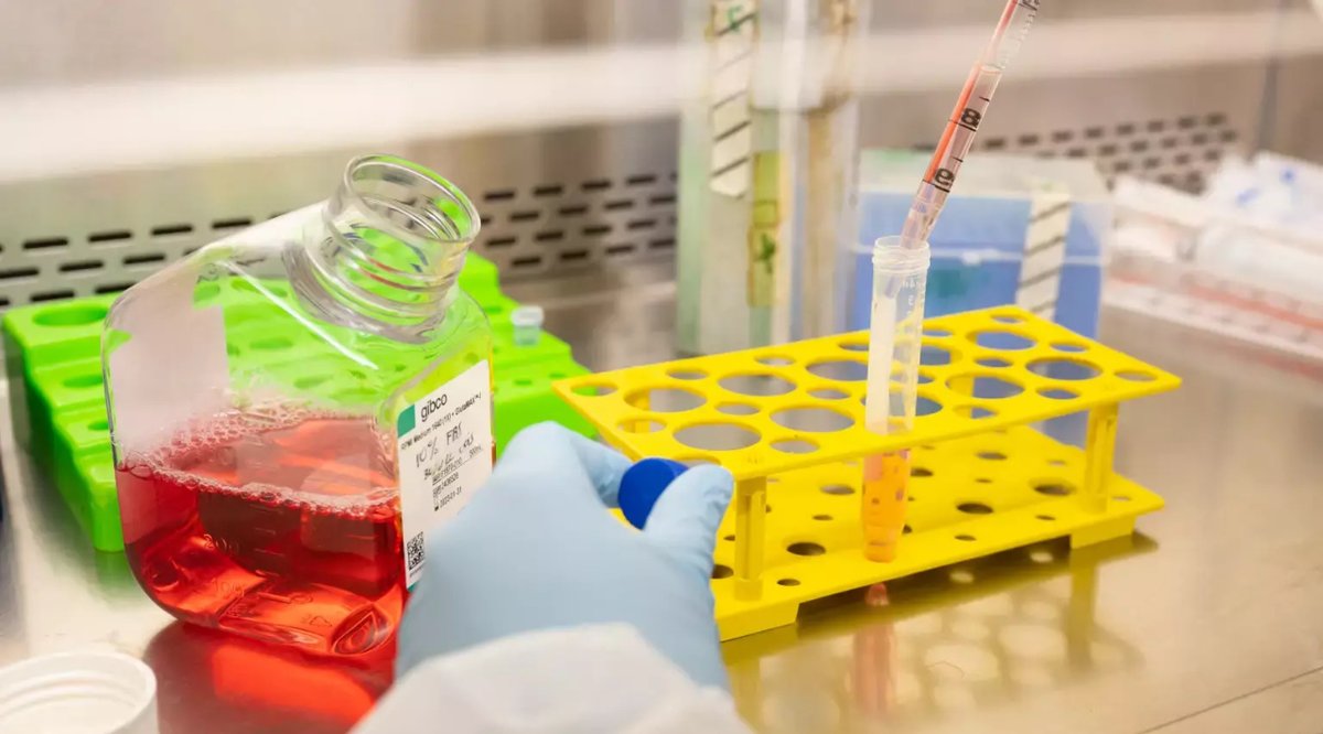 idibaps's tweet photo. IDIBAPS creates three multidisciplinary research programs to encourage collaboration among its groups. They are:

-Translational cancer research
-Synaptic autoimmunity in neurology, psychiatry and cognitive neuroscience
-Lymphoid neoplasms

👉https://t.co/9ctejASJqv https://t.co/UweoYPSsQV