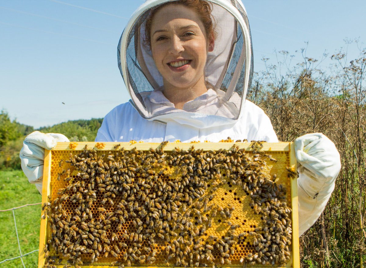 AAFC_Canada's tweet photo. ๐ซ#CdgAg: there is one more week to share your feedback about how the sector can play an important role in the development of Canadaโs 2030 #Biodiversity Strategy. Have your say: https://t.co/FsFqalxBV2 @environmentca https://t.co/aeU0eFTd9Y