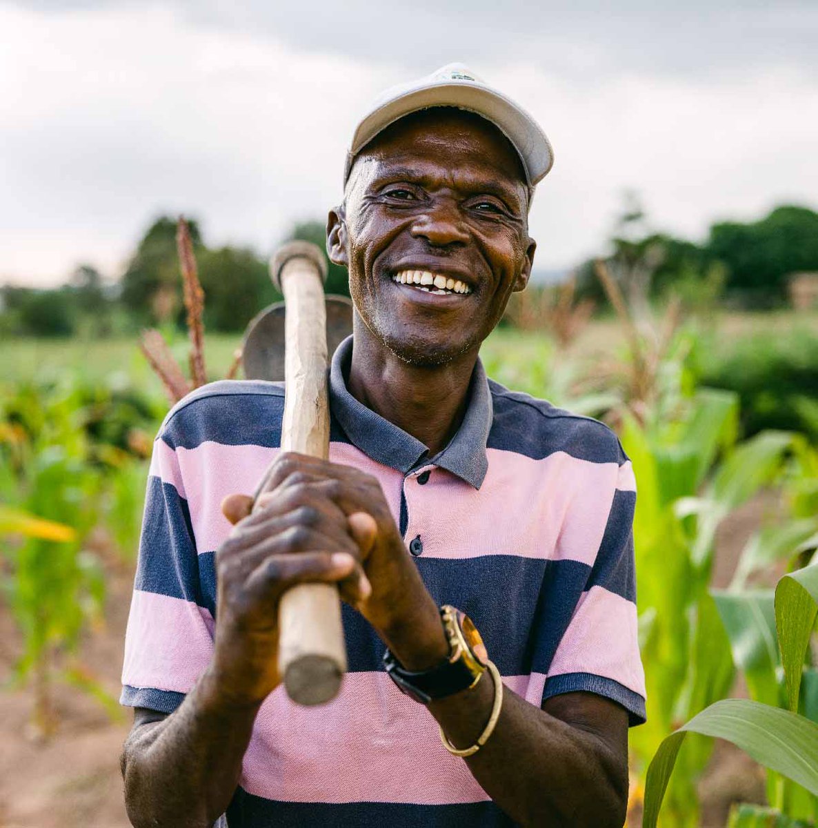 yogo's tweet photo. Support small businesses!  Not only is our company a small (woman-owned) company itself, but we support other entrepreneurs through our agroforestry program! Learn more about how Yogo gives back through our Trees program at https://t.co/yAvm9wh2t8 https://t.co/kBUWrlyiSg