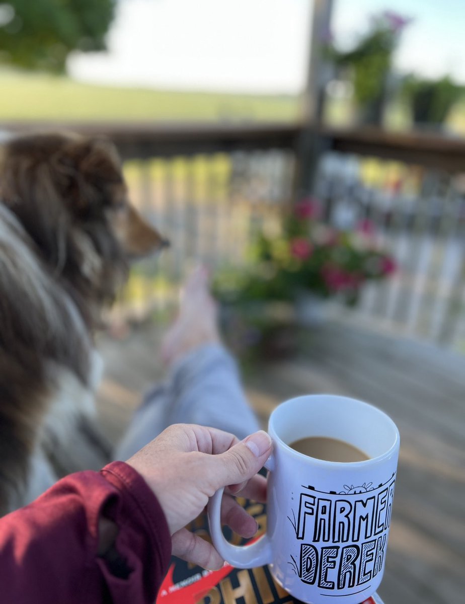JenSchweigert's tweet photo. Good Monday morning from this little oasis Iβm slowing building.
Go conquer the new day & new week.
Best of luck to my #sfb13 compadres & safe travels for everyone headed to #QBImpact! #Frontporchshenanigans #undefeated https://t.co/NCfTHDJ6Di
