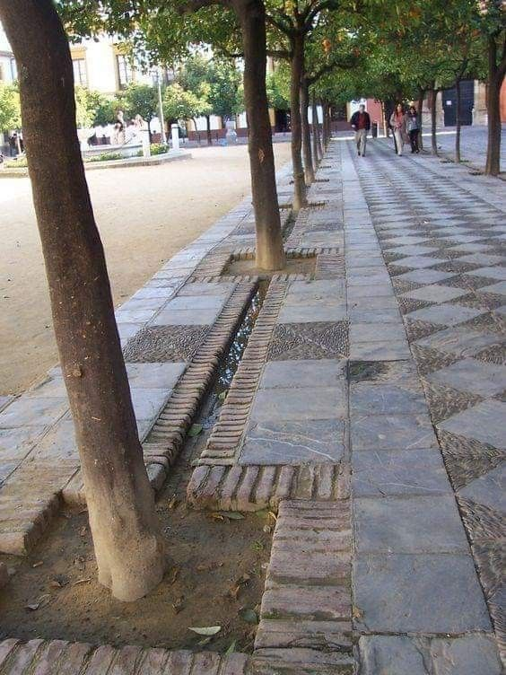 NaoCasanova's tweet photo. Alcorques hidroconectados. https://t.co/y6Ai4j4j2X