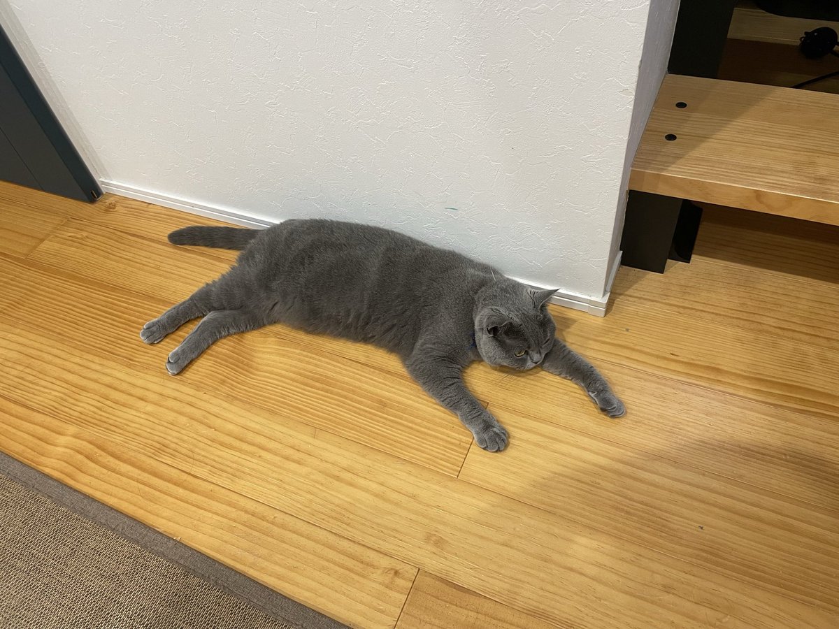 もし、旅のお方…どうされました？こんな所でお眠りになって… https://t.co/QZC1uJ2vJ9