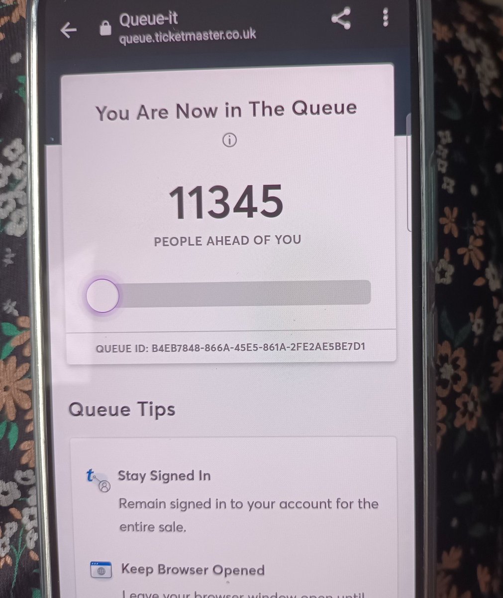 ☆☆Lou☆☆ tweet media