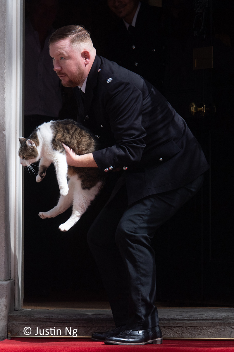 Justin Ng tweet media