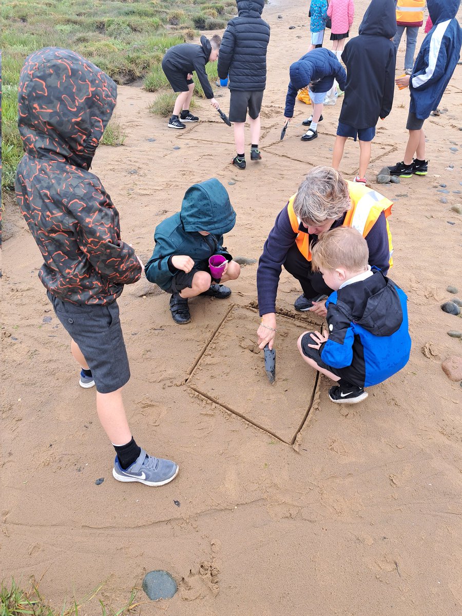 More photos from our visit to Lytham beach. Orangutans enjoyed our beach artwork! #RSBP thank you for taking good care of us.